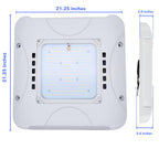 300W LED Canopy Light, Waterproof Parking Lot Lights for Carport, Warehouse, Gas Station, Carport, Auto Shop - 5700K Daylight, 48000LM, 100-277V