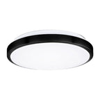 FLUSH MOUNT CEILING LIGHT